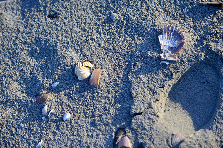 Mare d'inverno, Federica Giorgetti, 2018 Mare d'inverno, Federica Giorgetti, 2018